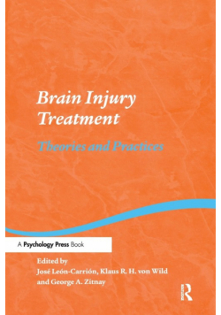 Brain Injury Treatment