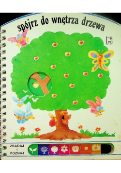 Spójrz do wnętrza drzewa