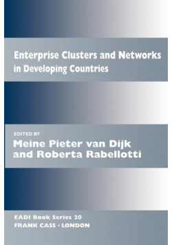 Enterprise Clusters and Networks in Developing Countries