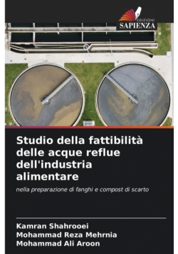 Studio della fattibilità delle acque reflue dell'industria alimentare