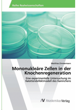 Mononukleäre Zellen in der Knochenregeneration
