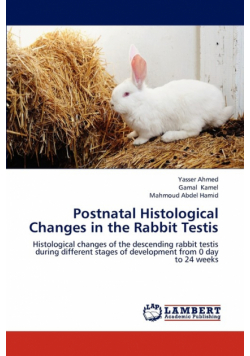 Postnatal Histological Changes in the Rabbit Testis