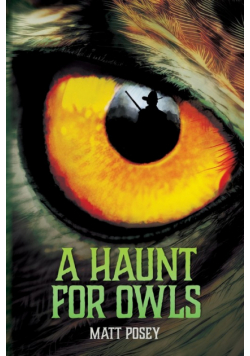 A Haunt for Owls