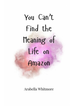 You Can't Find the Meaning of Life on Amazon