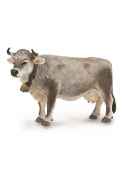 Tyrolska krowa szara
