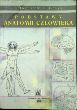 Podstawy anatomii człowieka