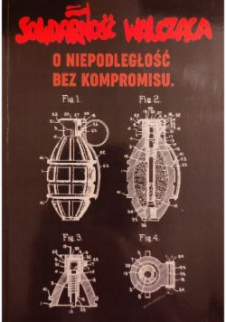 Solidarność walcząca o niepodległości bez kompromisu