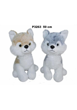 Husky 50cm MIX