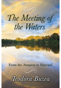 The Meeting of the Waters