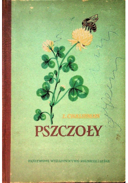 Pszczoły