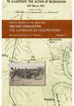 The Campaign In Mesopotamia