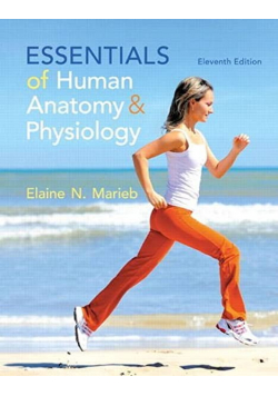 Essentials of Human anatomy and pfysiology
