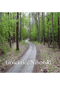 Gościniec Niborski