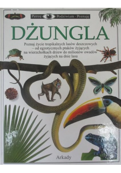 Dżungla
