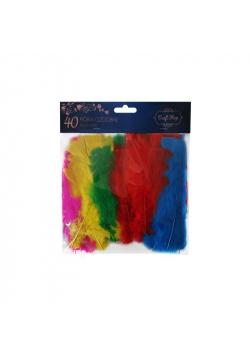 Pióra ozdobne 40 sztuk CRAFT SHOP