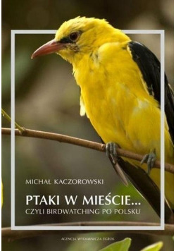 Ptaki w mieście, czyli birdwatching po polsku