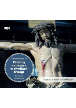 Patrzmy na Jezusa w chwilach trwogi audiobook