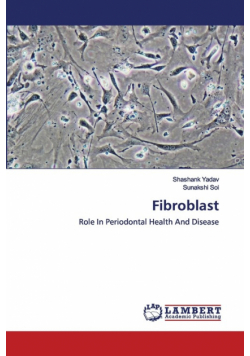 Fibroblast