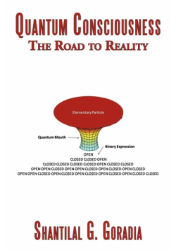 Quantum Consciousness