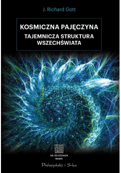 Kosmiczna pajęczyna