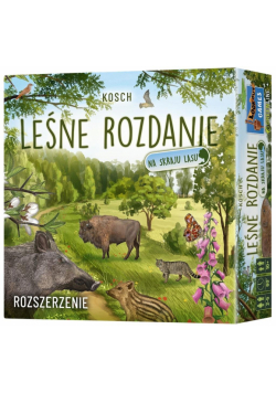 GRA Leśne rozdanie: Na skraju lasu