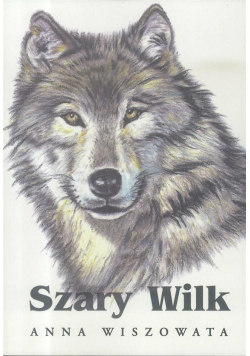 Szary wilk