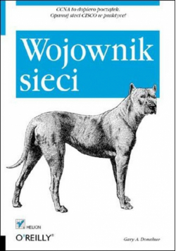 Wojownik sieci