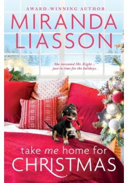 Take Me Home for Christmas