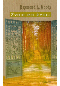Życie po życiu