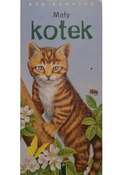 Mały kotek
