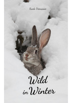 Wild in Winter