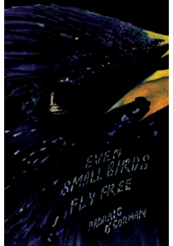 even small birds fly free