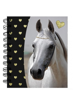Notes spiralny Horse PP19H-3631 PASO
