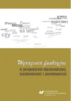 Wyrażenia funkcyjne w perspektywie diachronicznej synchronicznej i porównawczej