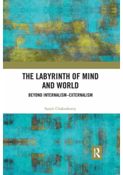 The Labyrinth of Mind and World