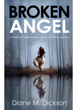 Broken Angel
