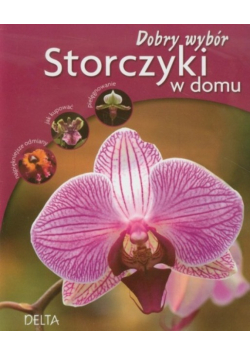 Storczyki w domu Dobry wybór