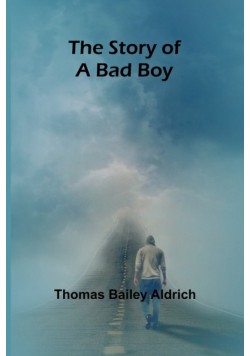 The Story of a Bad Boy