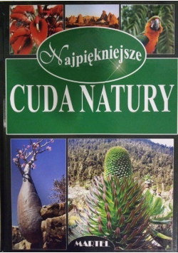 Najpiękniejsze cuda natury