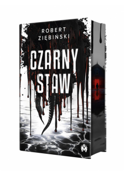 Czarny Staw (ilustrowane brzegi)