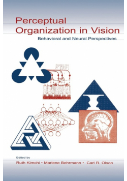 Perceptual Organization in Vision