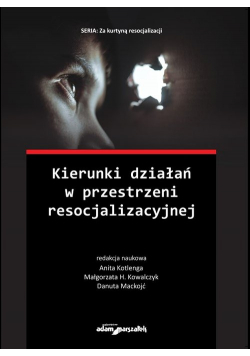 Kierunki działań w przestrzeni resocjalizacyjnej
