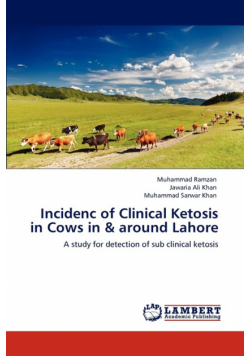 Incidenc of Clinical Ketosis in Cows in & around Lahore