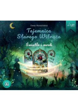 Tajemnica Starego Witraża T.5 W spirali zła CD