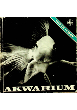 Akwarium