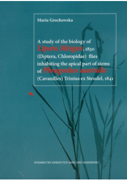A study of the biology of Lipara Meigen 1830 flies inhabiting the apical part of stems of Phragmites australis Trinius ex Steudel 1841