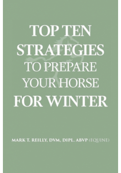 Top Ten Strategies To Prepare Your Horse For Winter
