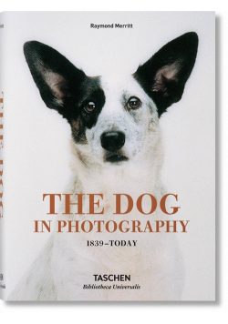 The Dog in Photography