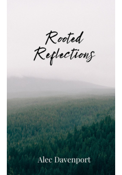 Rooted Reflections