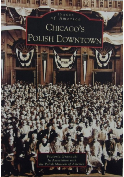 Chicagos Polish Downtown